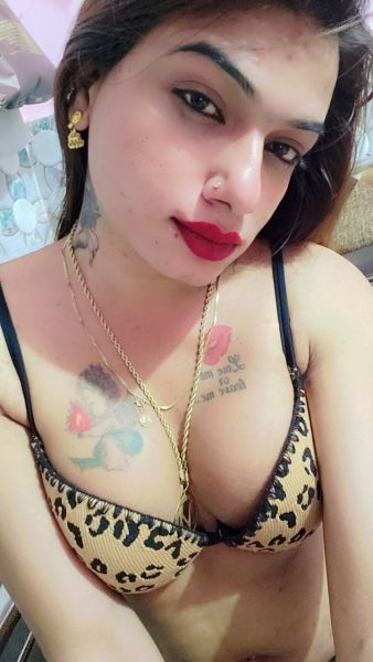🤩😘MUSKAN ♥️💋
MUMBAI
Boobs size 32
Dick 7"
available
Hot Beautiful Decent Witness Shemale Here. I'm 34 boobs with 7.1inch dick size don't ask for free nude pics.
I am very clean smelling so very nice very smooth soft spoken.
To book appointment you