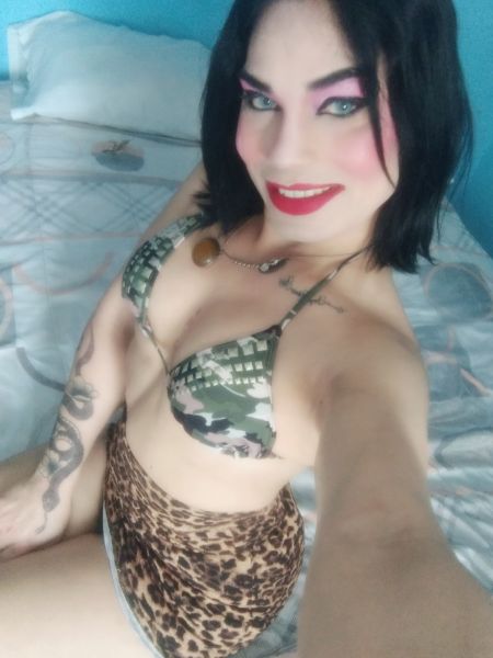HERMOSA CHICA TRANS SUPER FEMENINA BLANQUITA EL SERVICIO ES SIN APUROS SE PUEDE HACER TODO LO QUE GUSTES HACER CUALQUIER ROL TRATO DE PAREJA HAGO FIESTAS PODEMOS HACER LO QUE QUIERAS 