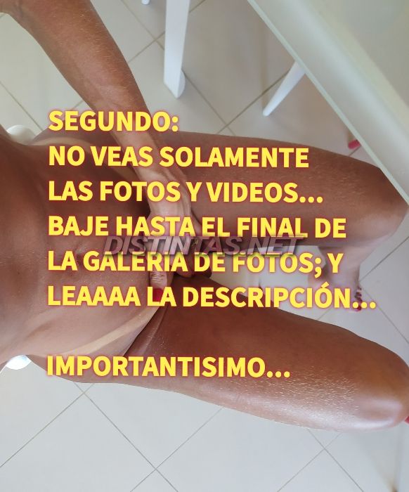 Analu Monteiro