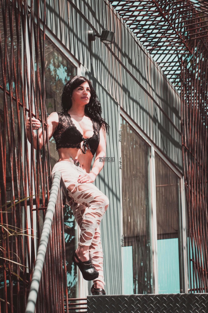 Kimme