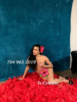 Ts_cynthia