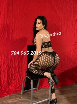 Ts_cynthia