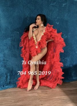 Ts_cynthia