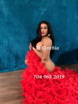Ts_cynthia