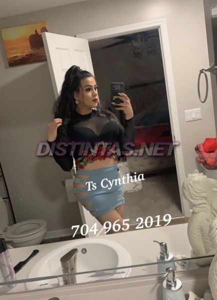 Ts_cynthia