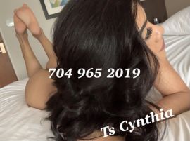 Ts_cynthia