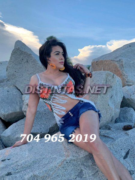 Ts_cynthia