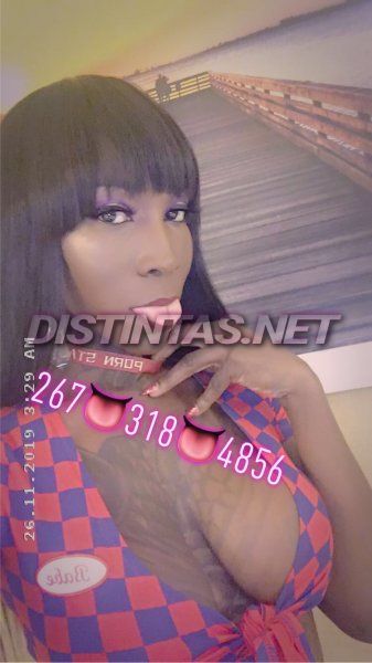 CarribeanStasha