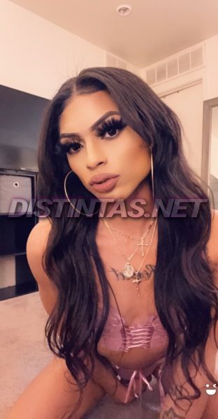 Sexy fun ts, smooth body and long soft legs. I’m a friendly very easy going girl 
Looking to accommodate you and all your needs I’m loving,caring,compassionate flirty sexy and kinky always a comfortable setting when with me great conversation some would say I’m good with my mouth 
Serious men only