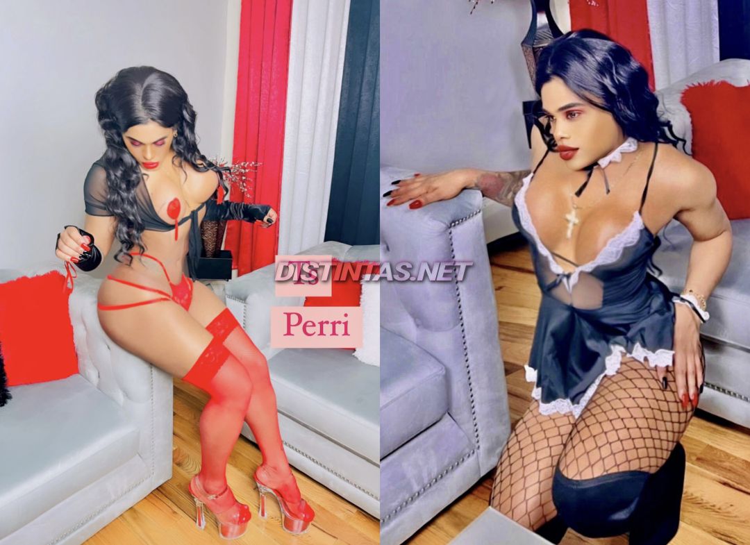 Ts Perri Dominican Mami 