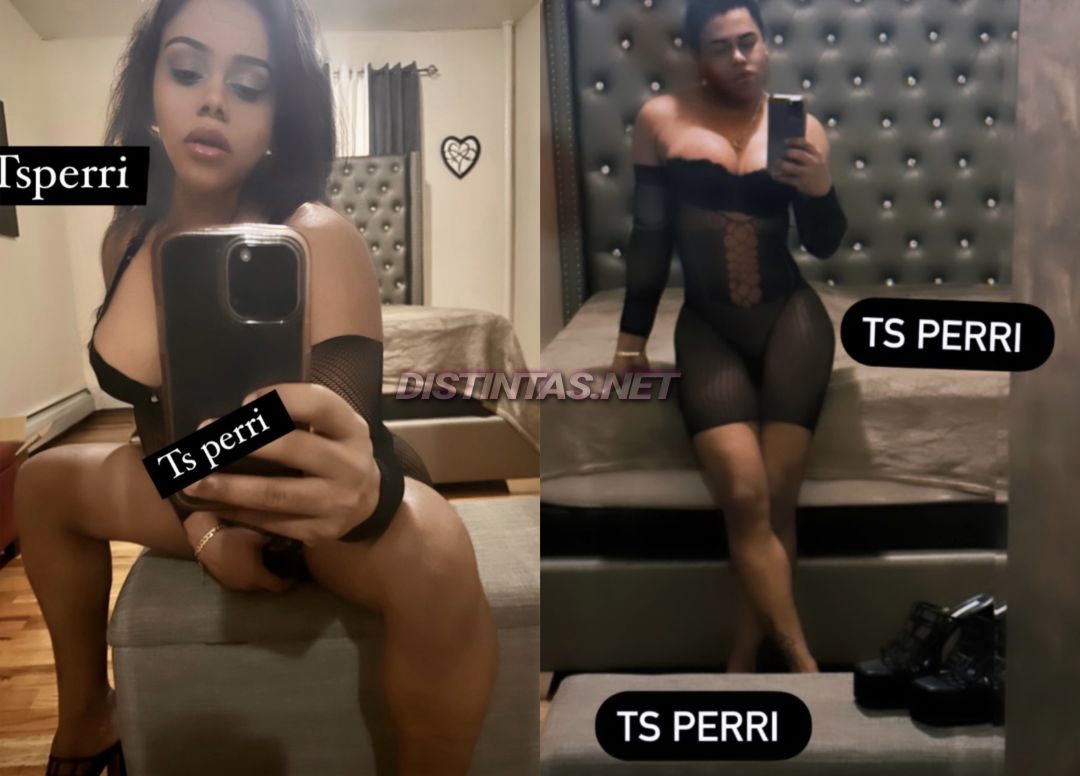 Ts Perri Dominican Mami 