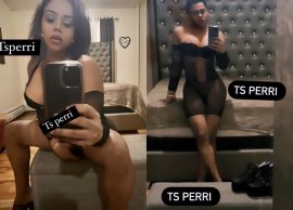 Ts Perri Dominican Mami 