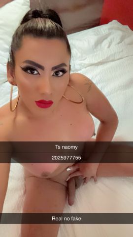 Ts Naomy