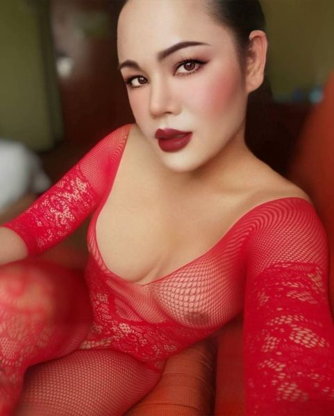 Am Rinnee.... TS​ THAI​ mix​ LAOS.... Nice and​Friendly​ person​ good​ take​ care. Sweetie Romance and  Naughty TS with 7". If you need somebody to take care your feelings from the daily life. Can make you happy time and Special Excited.... Contact me now.. 
