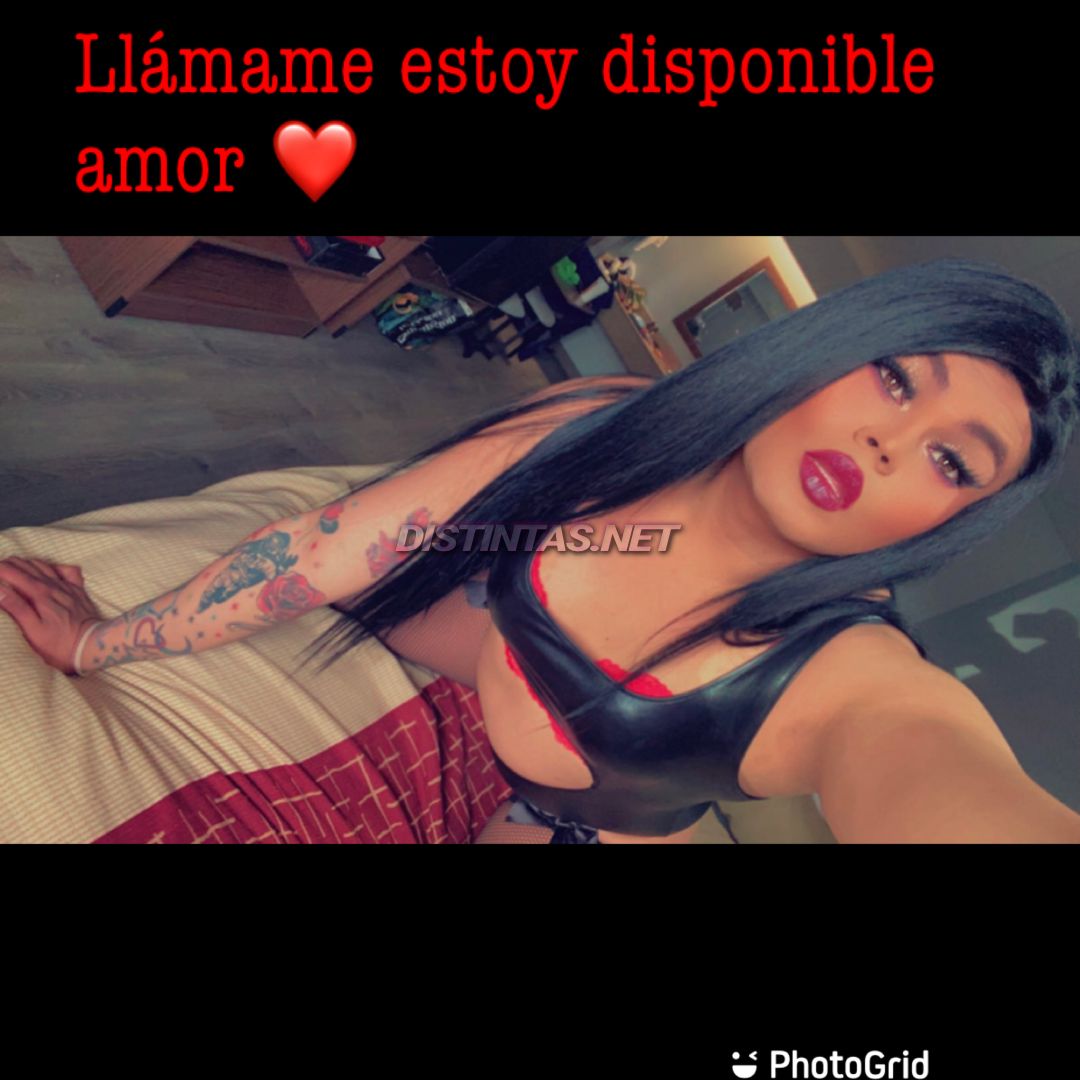 Dayana Xoxo